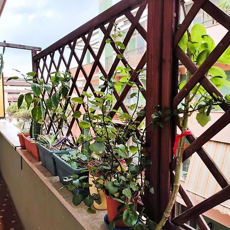 Euforbia House Daire Lido di Ostia Dış mekan fotoğraf