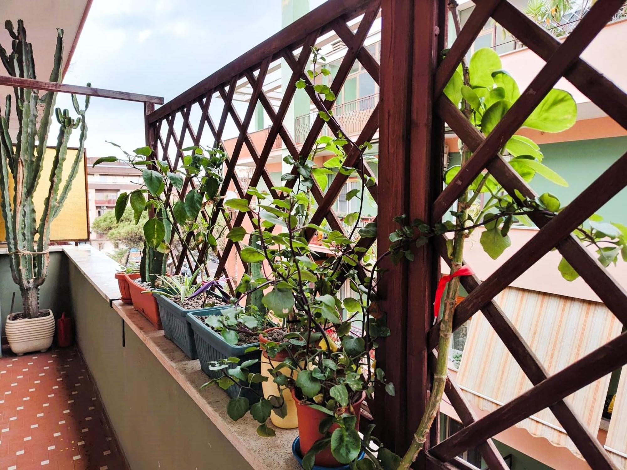 Euforbia House Daire Lido di Ostia Dış mekan fotoğraf