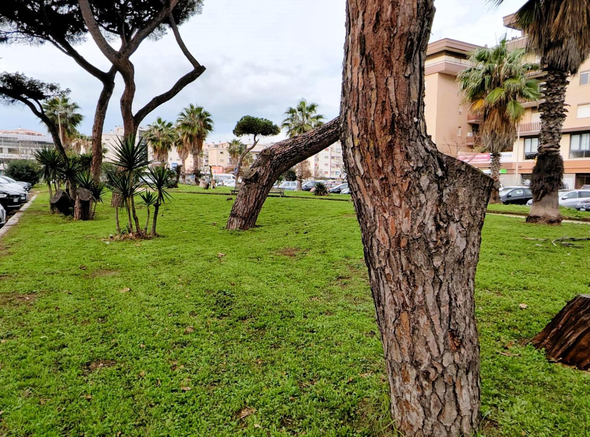 Euforbia House Daire Lido di Ostia Dış mekan fotoğraf